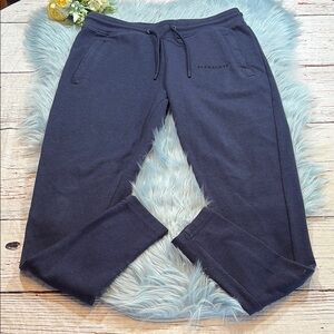 Alphalete Navy Essential Core Jogger Pants Body Building Sz M